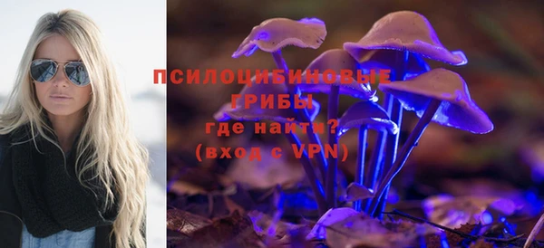 стаф Усмань