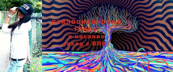 марки lsd Балахна