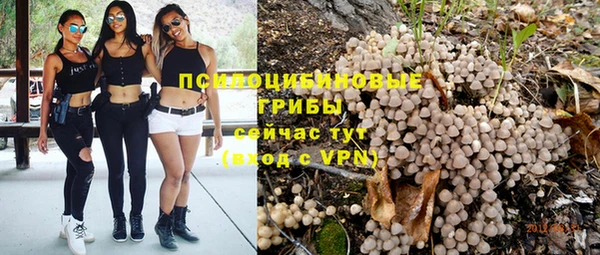 каннабис Баксан