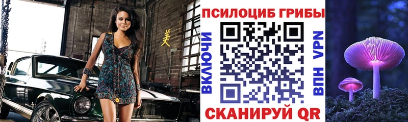 Галлюциногенные грибы мицелий Галич