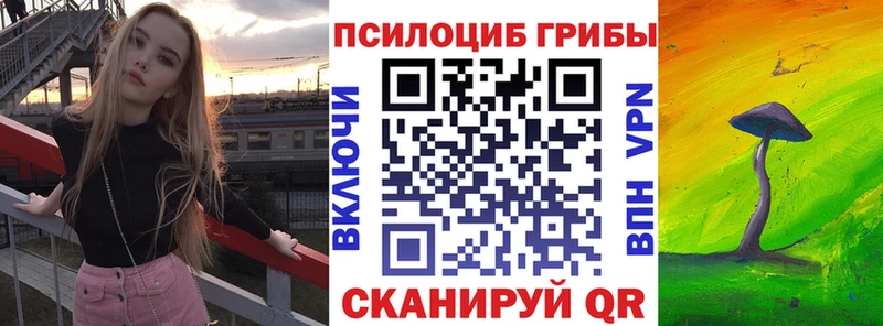 Псилоцибиновые грибы Psilocybe Галич